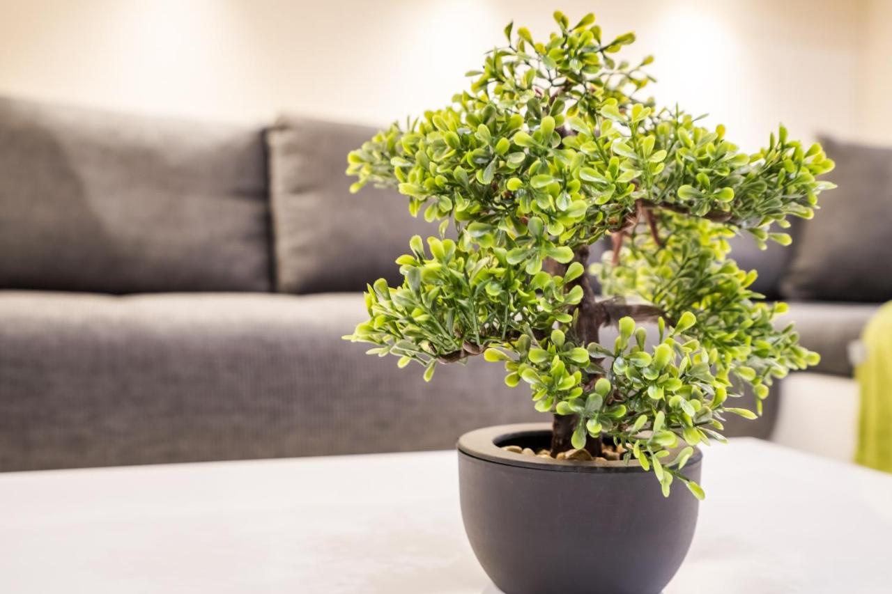 Bpr Garay Suite With Rooftop Terrace & A/C 布达佩斯 外观 照片